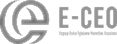 E-CEO