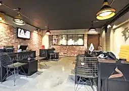 dans akademi