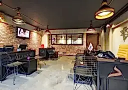dans akademi