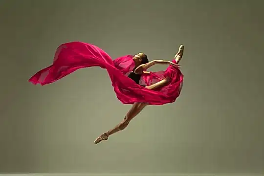 dans akademi