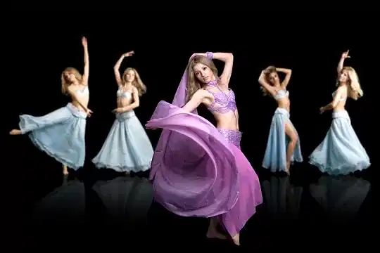 dans akademi