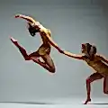 dans akademi şube