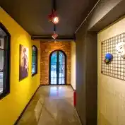 Dans Fotograflar